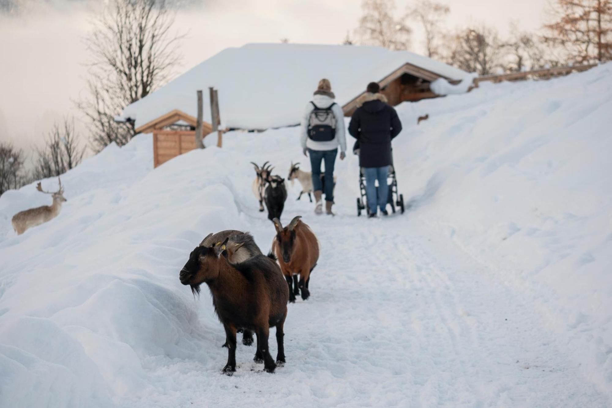 Alte Bildhauerei Lejlighed Aurach bei Kitzbühel Eksteriør billede